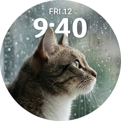 Cat in rain watch face