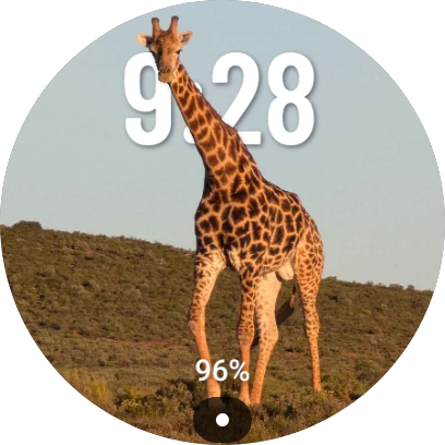 Giraffe watch face