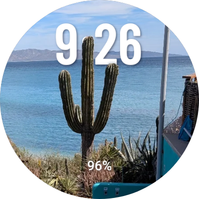 Cactus ocean view watch face